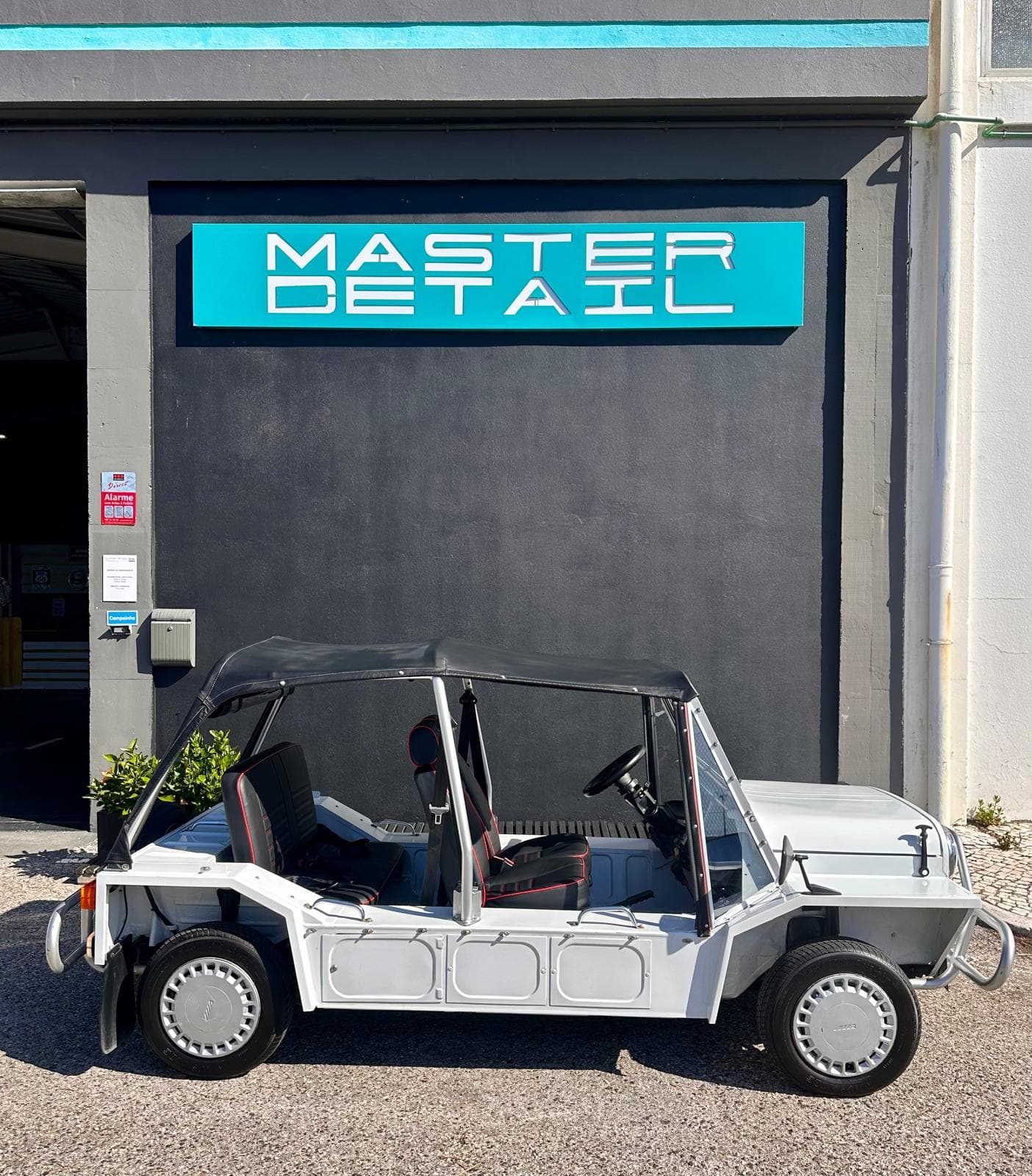 Custom mini car detailing and protection